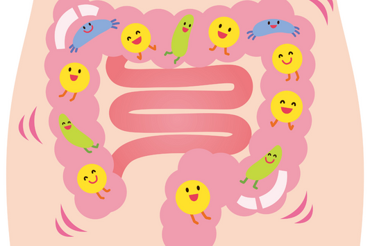 腸活イラスト